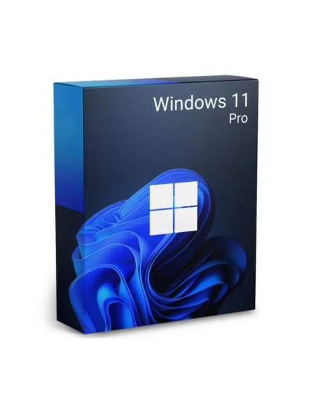 Windows 11 pro