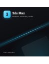 3ds Max