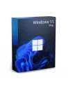 Windows 11 pro
