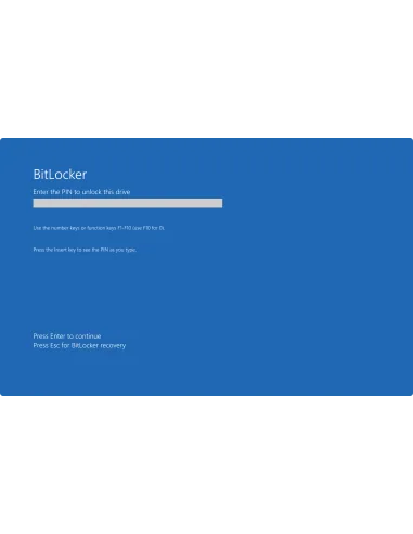 Windows 10 Pro: Pantalla previa al arranque de BitLocker que pide el PIN para desbloquear la unidad