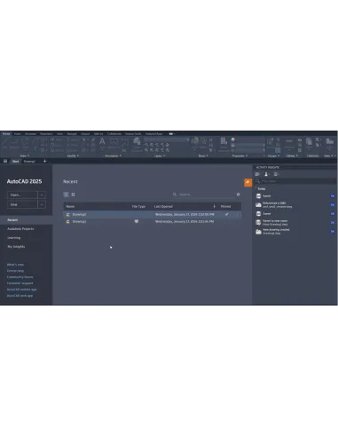 AutoCAD 2025: pestaña Inicio con archivos recientes y paleta Activity Insights